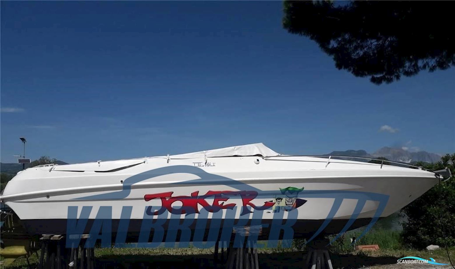 Abbate Tullio Elite 28'