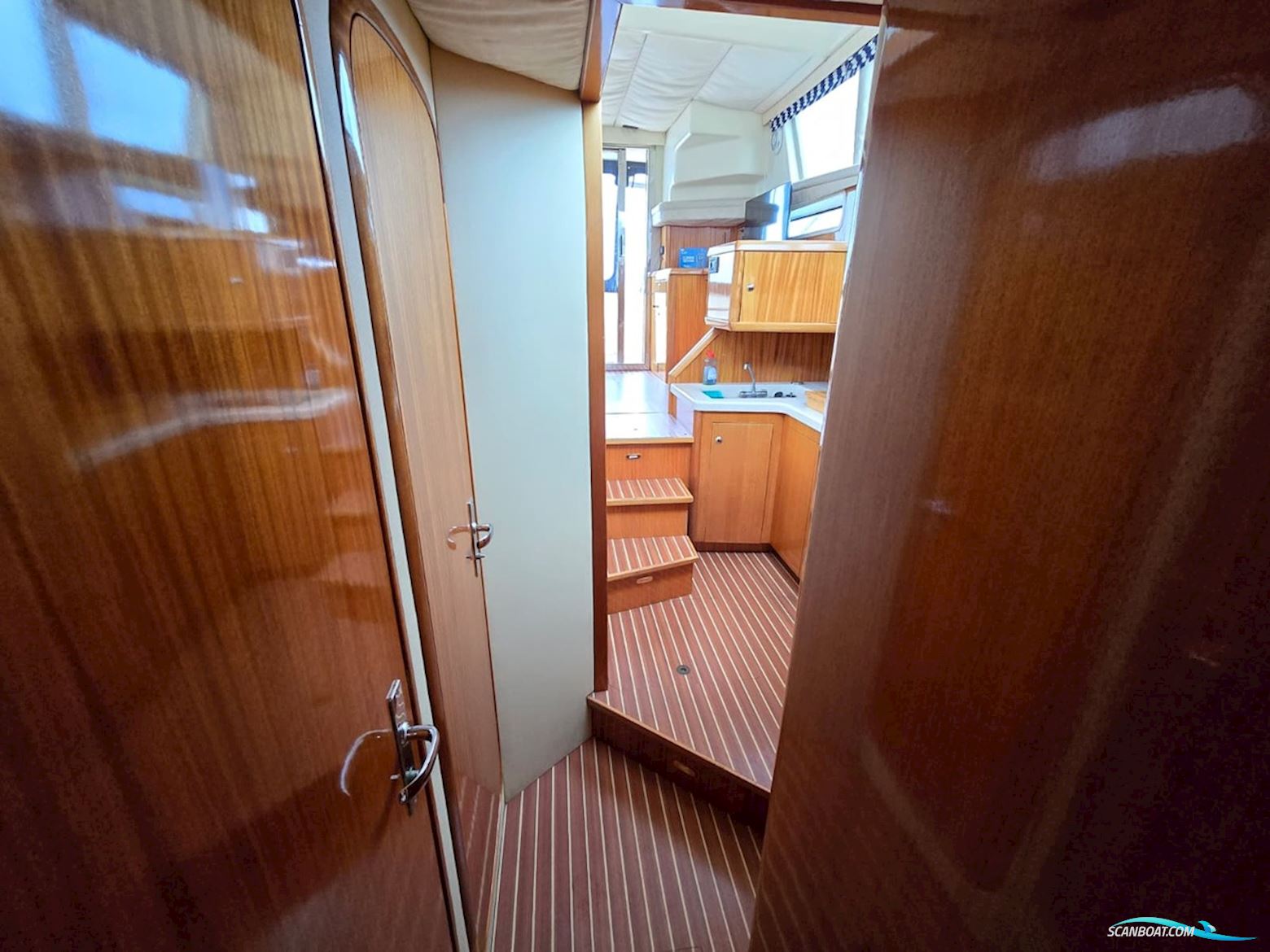 ACM Dynasty  43 Fly