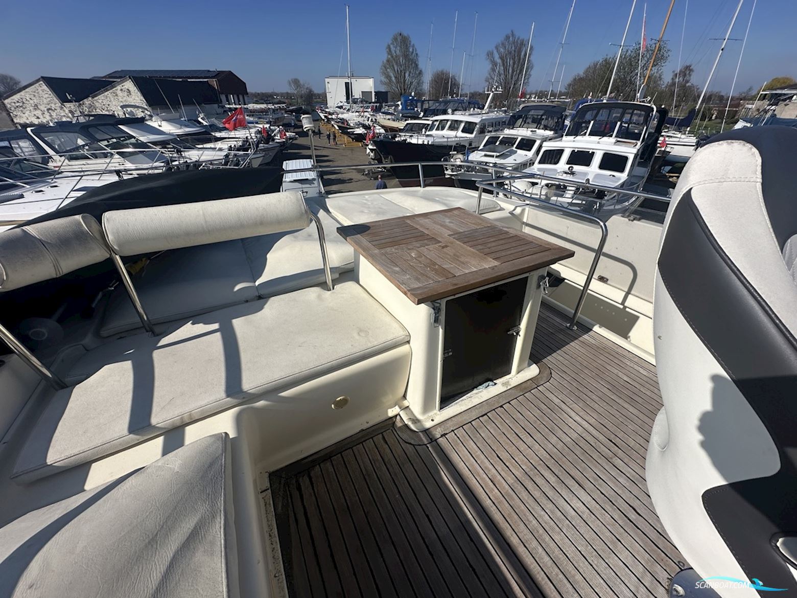 ACM Dynasty  43 Fly