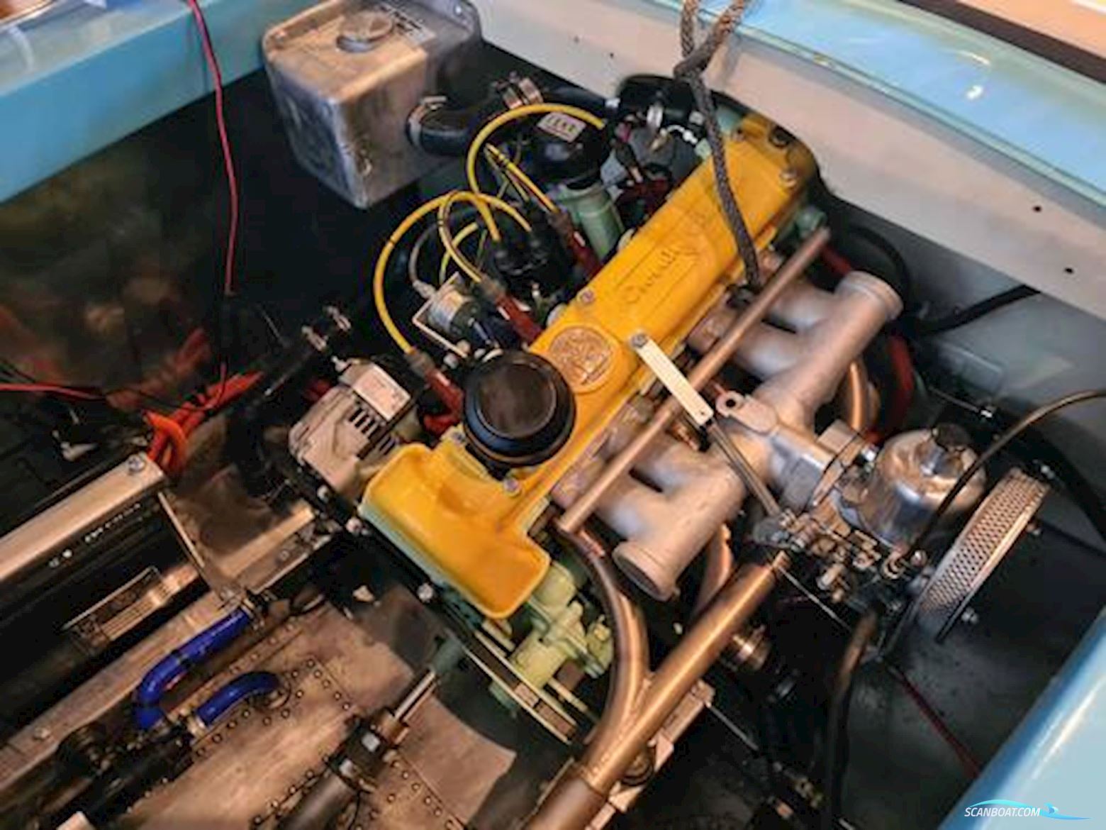 Albatross Continental