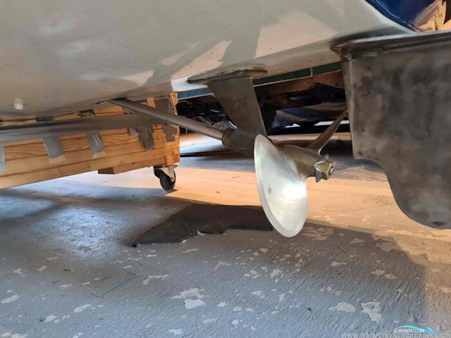 Albatross Continental