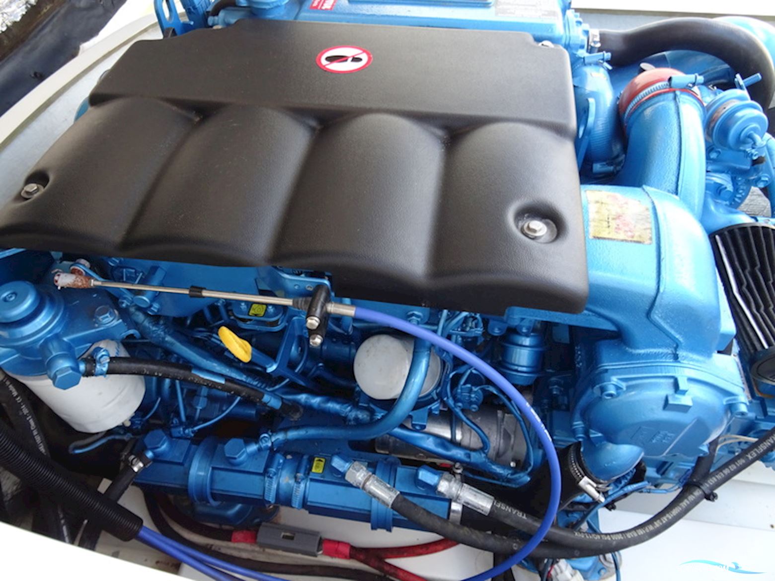 Antaris Seventy7 Sport