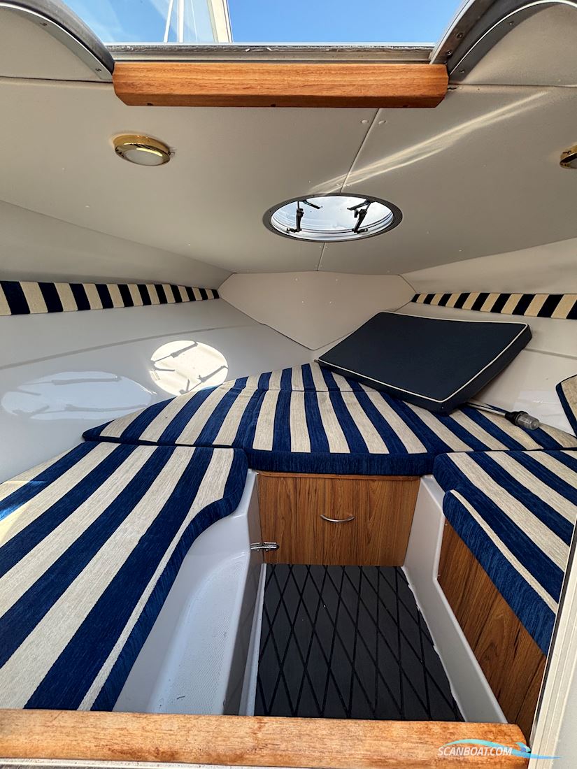 Askeladden 645 Beetle