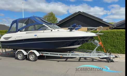 Askeladden 645 Beetle