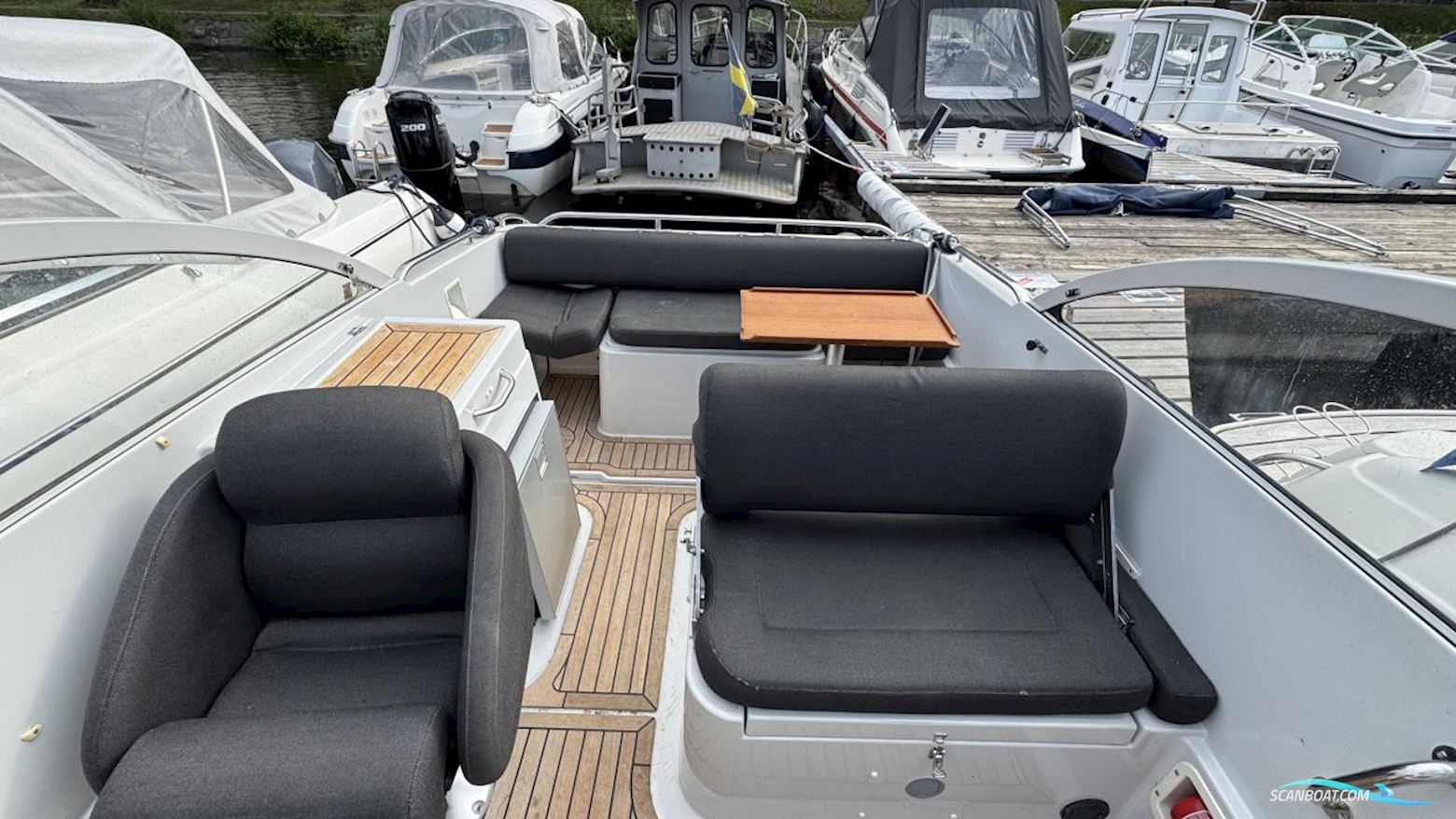 ASKELADDEN 645 BEETLE