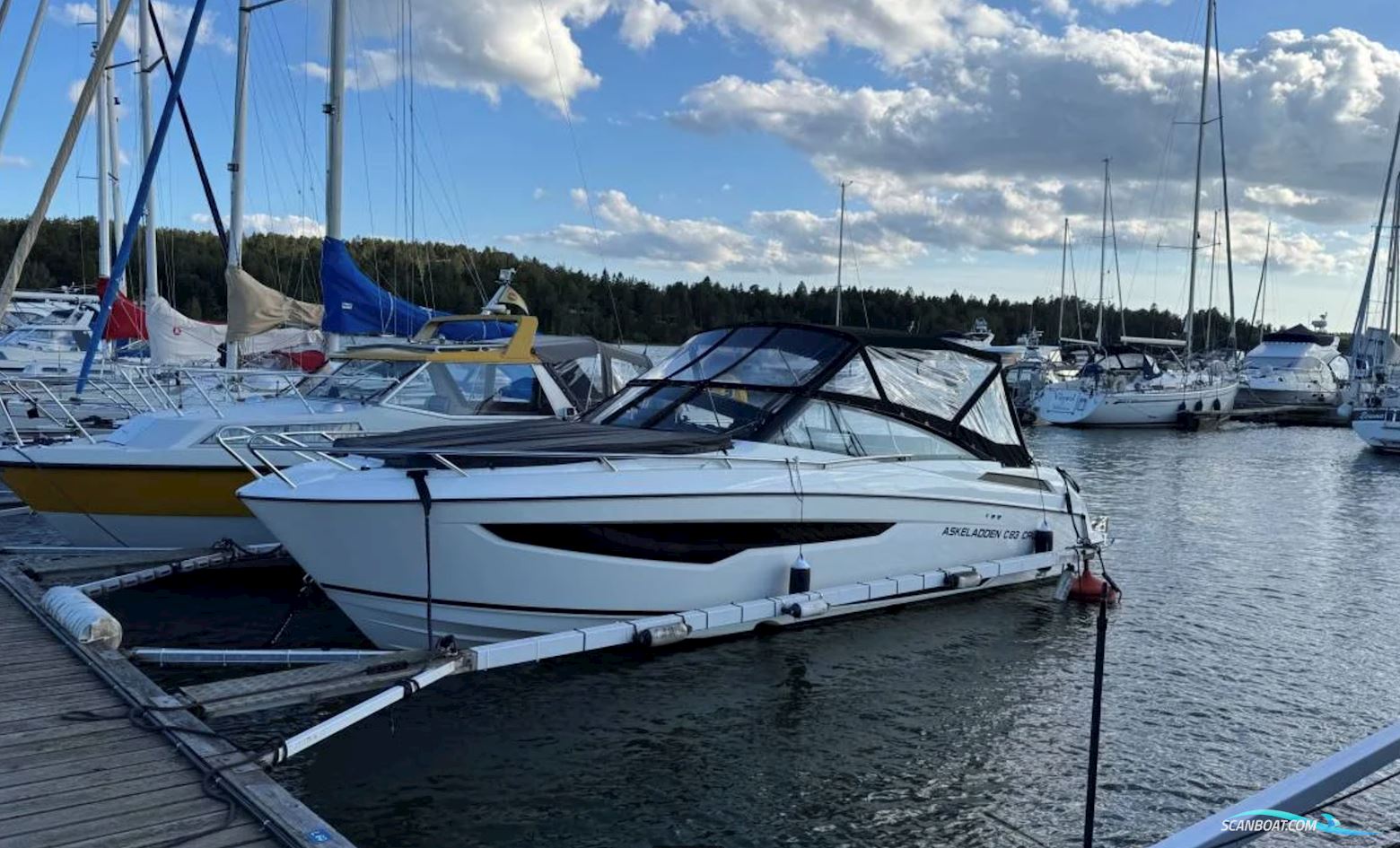 Askeladden C83 Cruiser