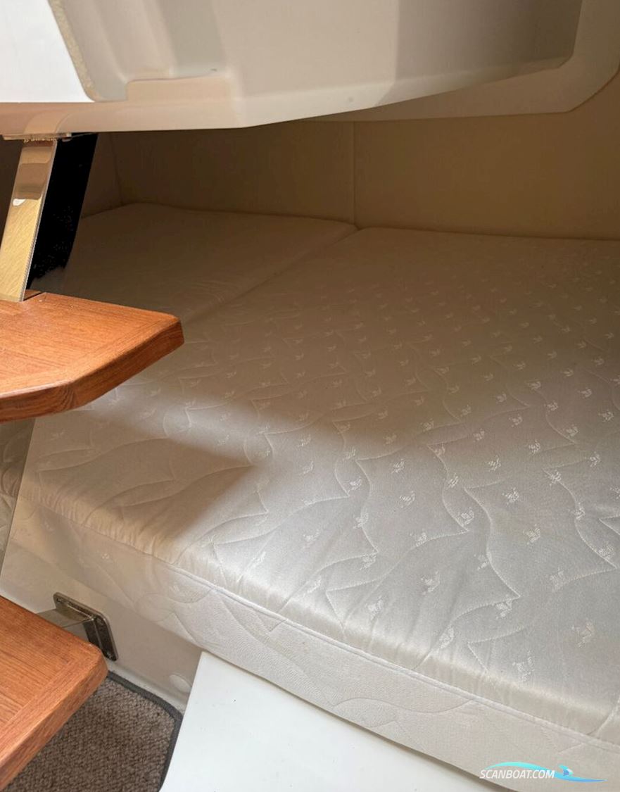 Askeladden C83 Cruiser