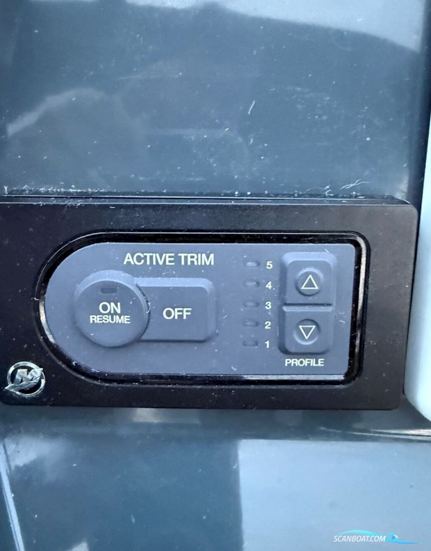 Askeladden C83 Cruiser