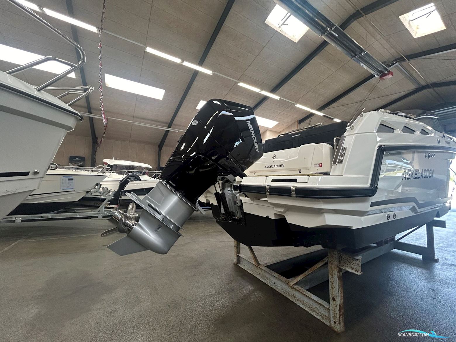 Askeladden C91 Cruiser