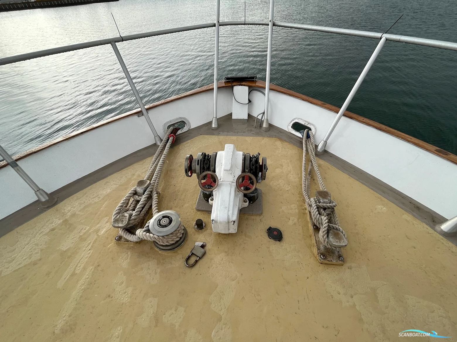 Astondoa 185