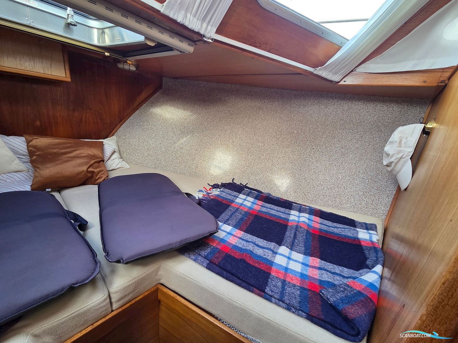 Atlantic 37