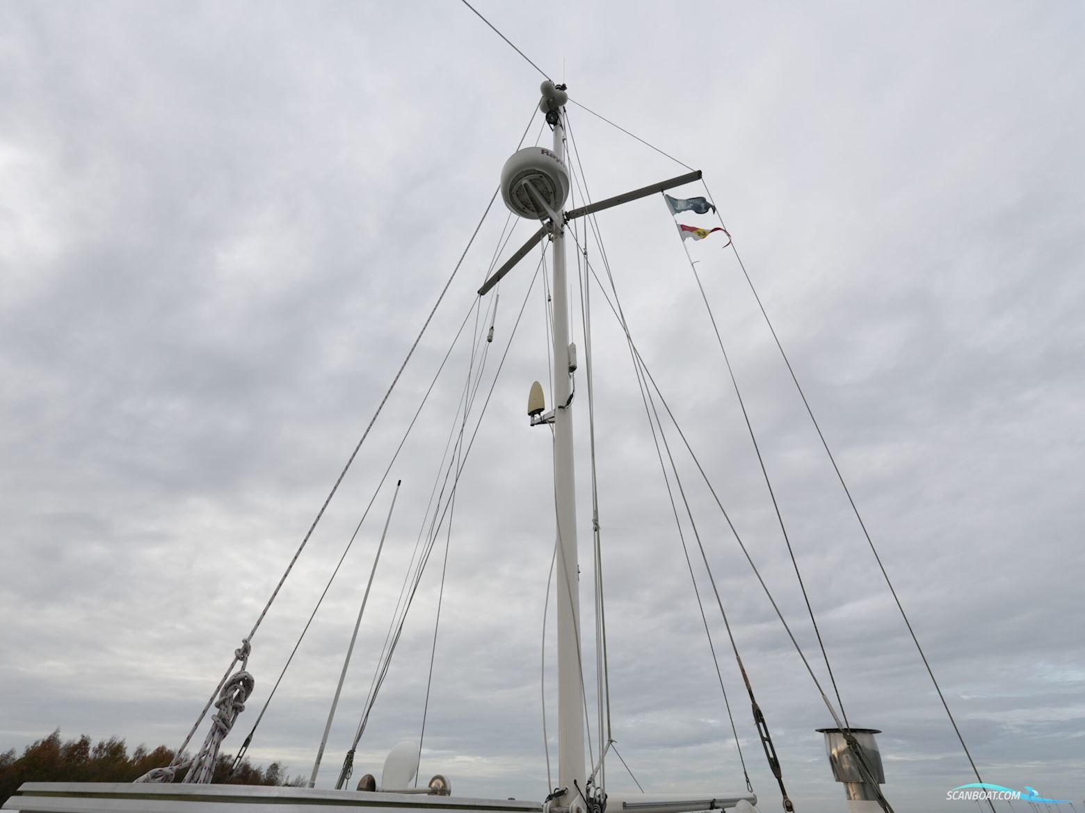 Banjer Kotter 11.50 OK