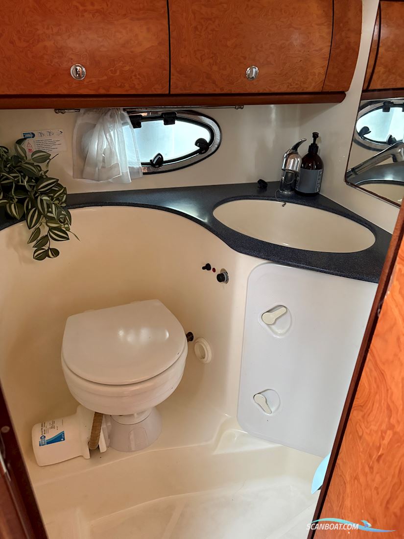 Bavaria 29 Sport