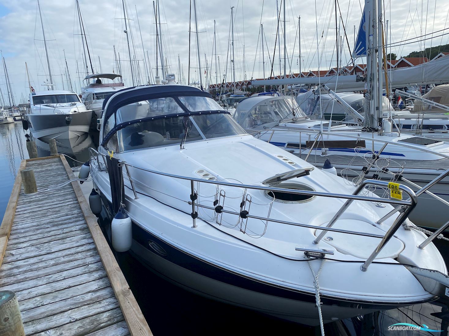 Bavaria 29 Sport
