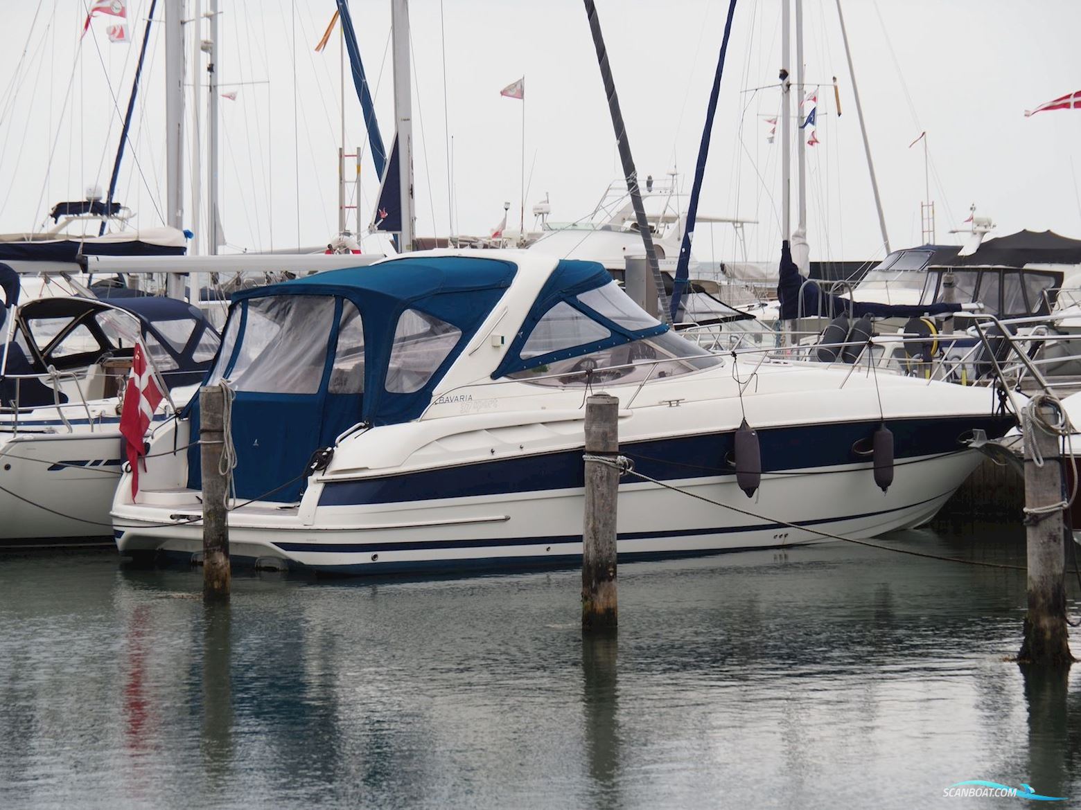 Bavaria 37 Sport