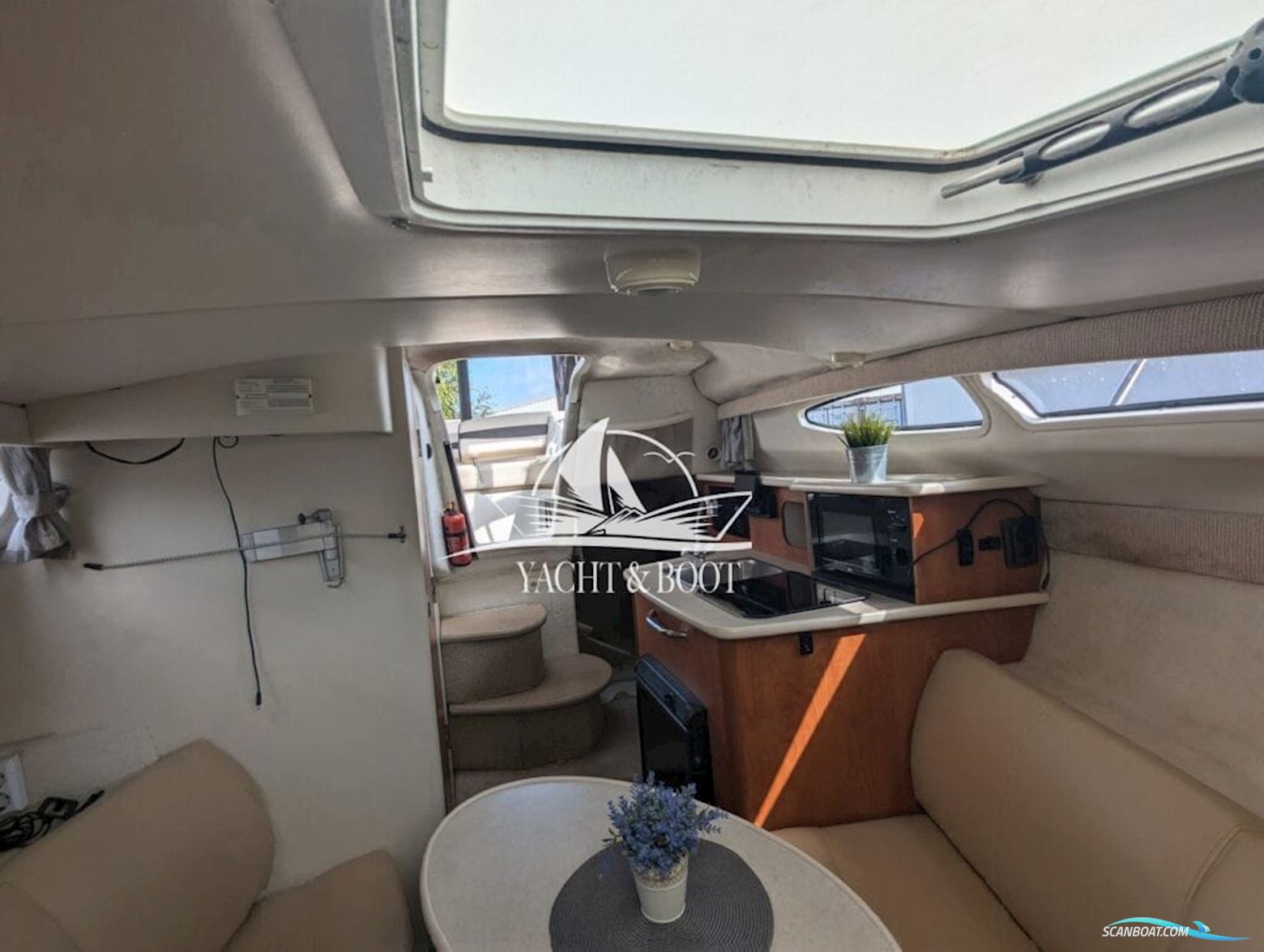 Bayliner 245