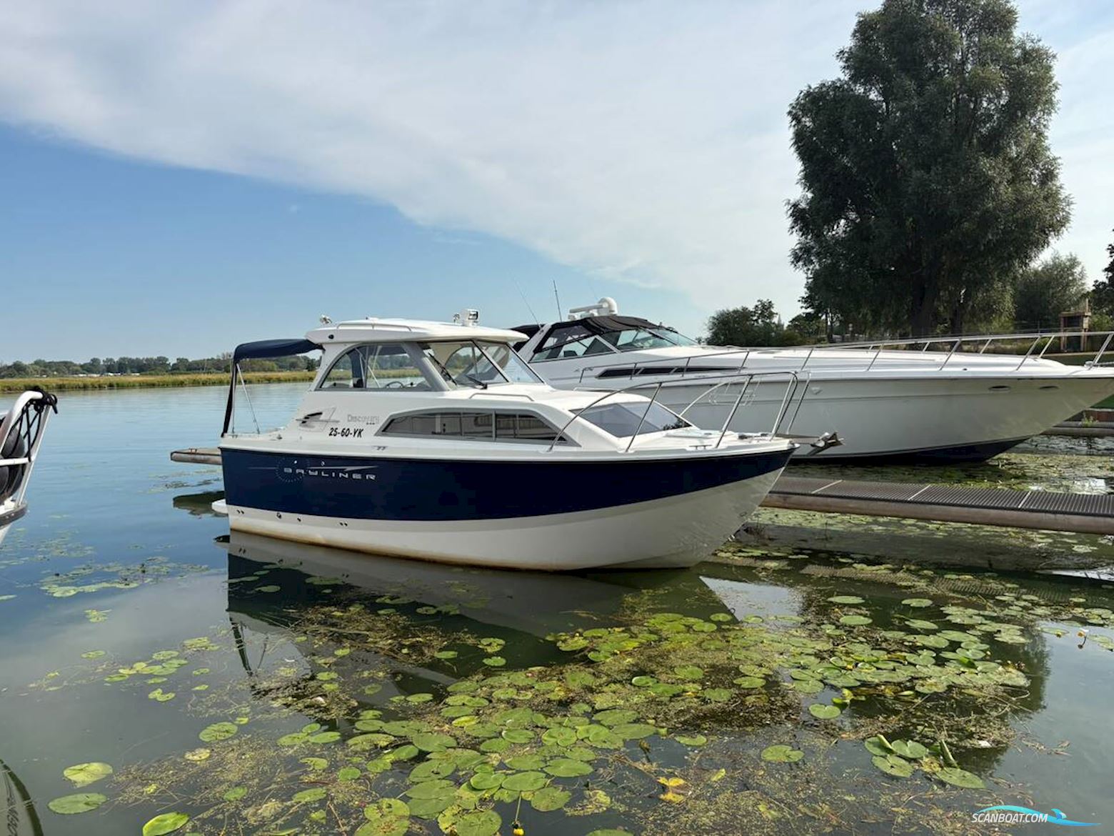 Bayliner 246 Discovery