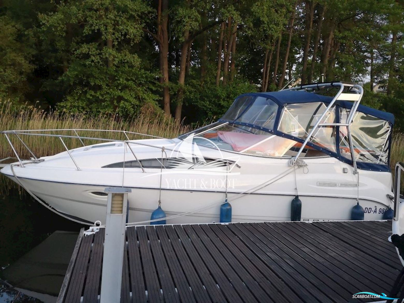 Bayliner 265