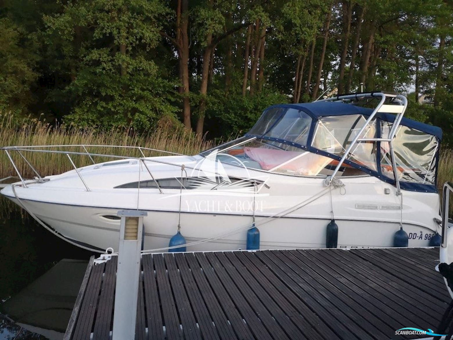 Bayliner 265