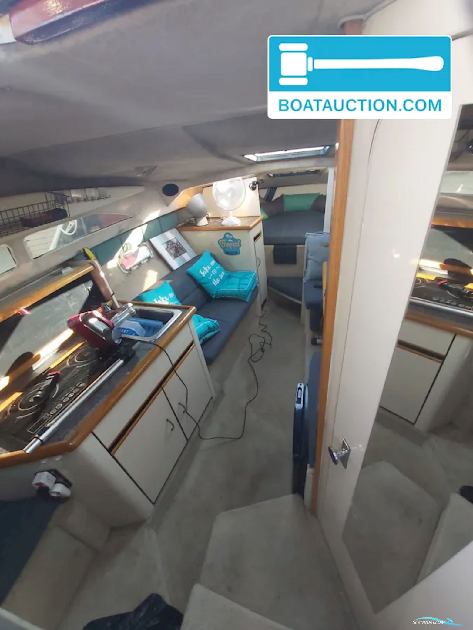 Bayliner 2655 wide body