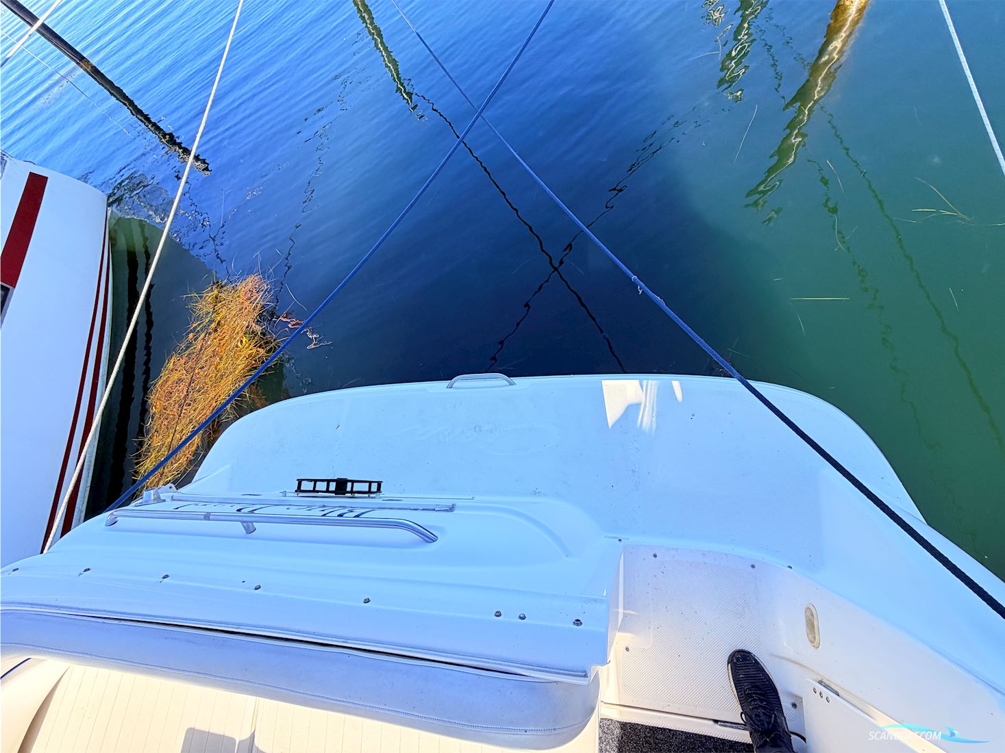 Bayliner 305