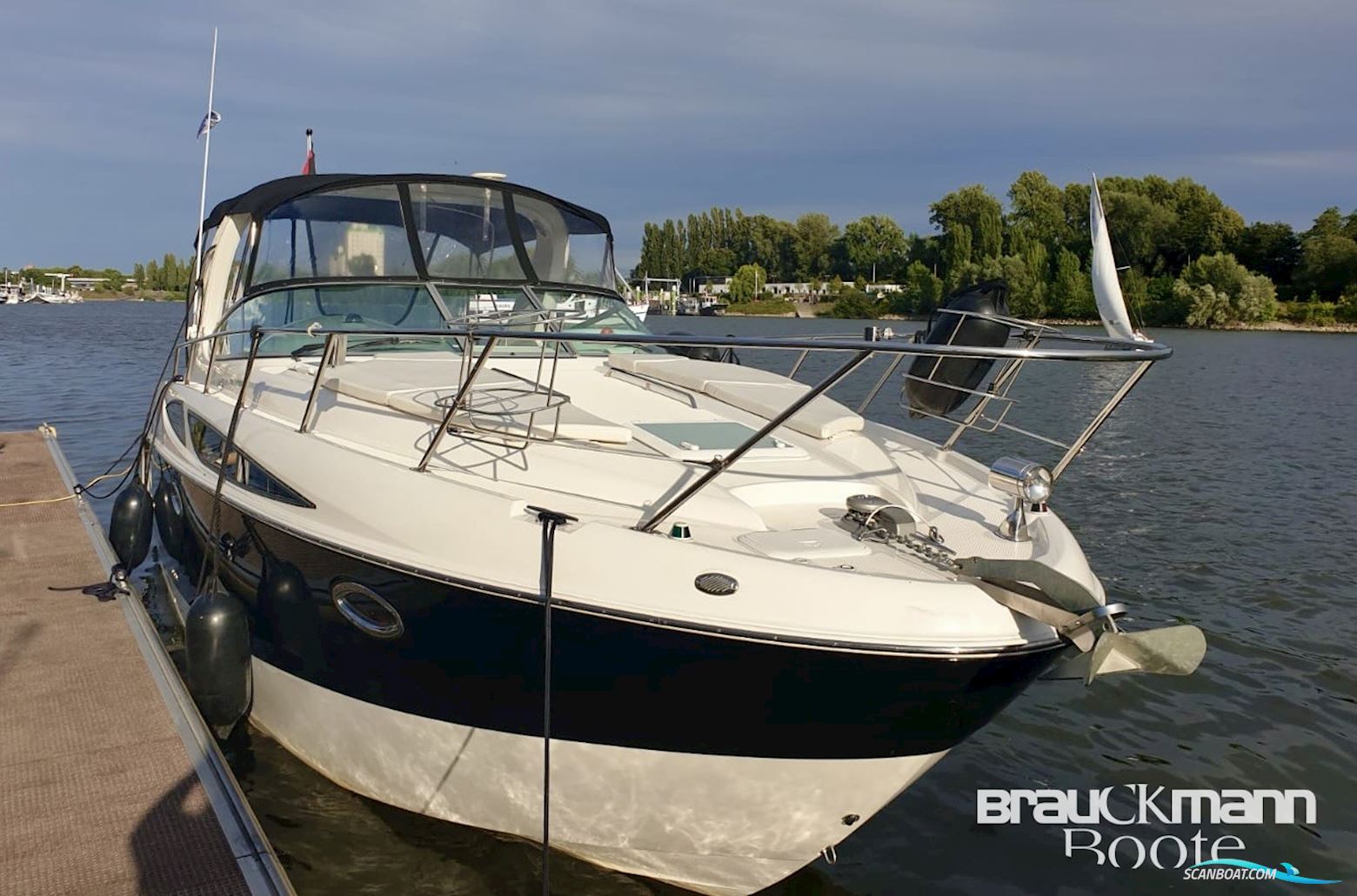Bayliner 335