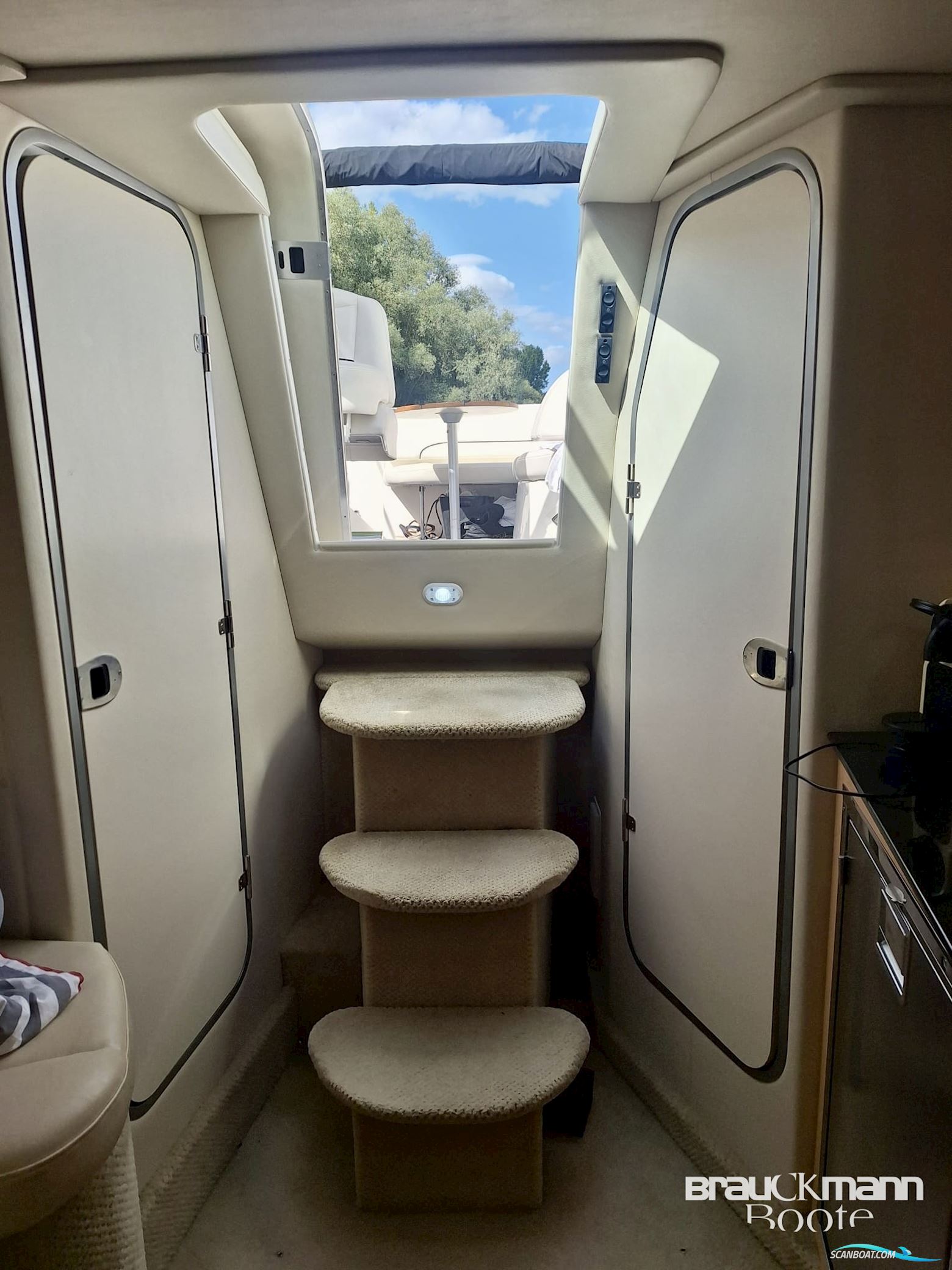 Bayliner 335