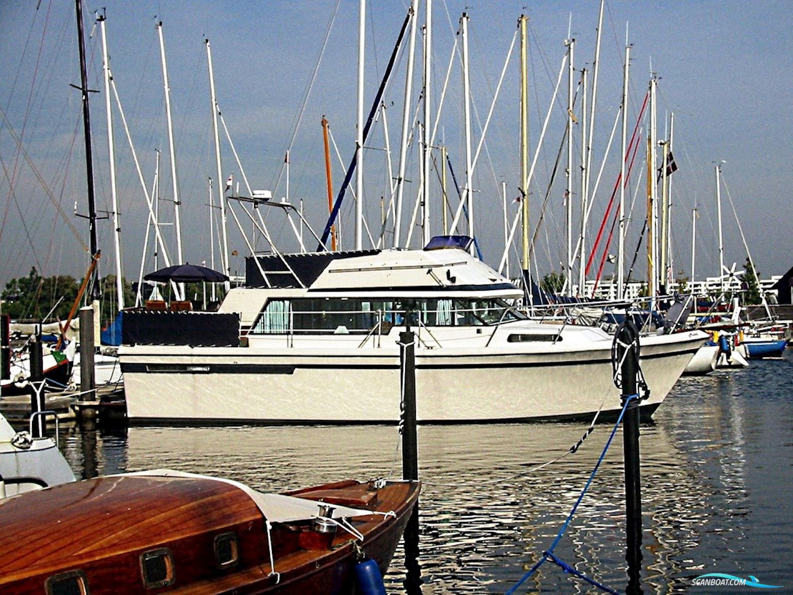 Bayliner 4050 Bodega Motorboot 1979, mit Detroit 6 Cyl. motor, Dänemark