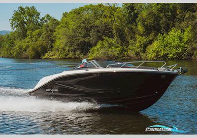 Bayliner C21 Cuddy Med Mercruiser Sterndrive Motorboot 2025, Dänemark