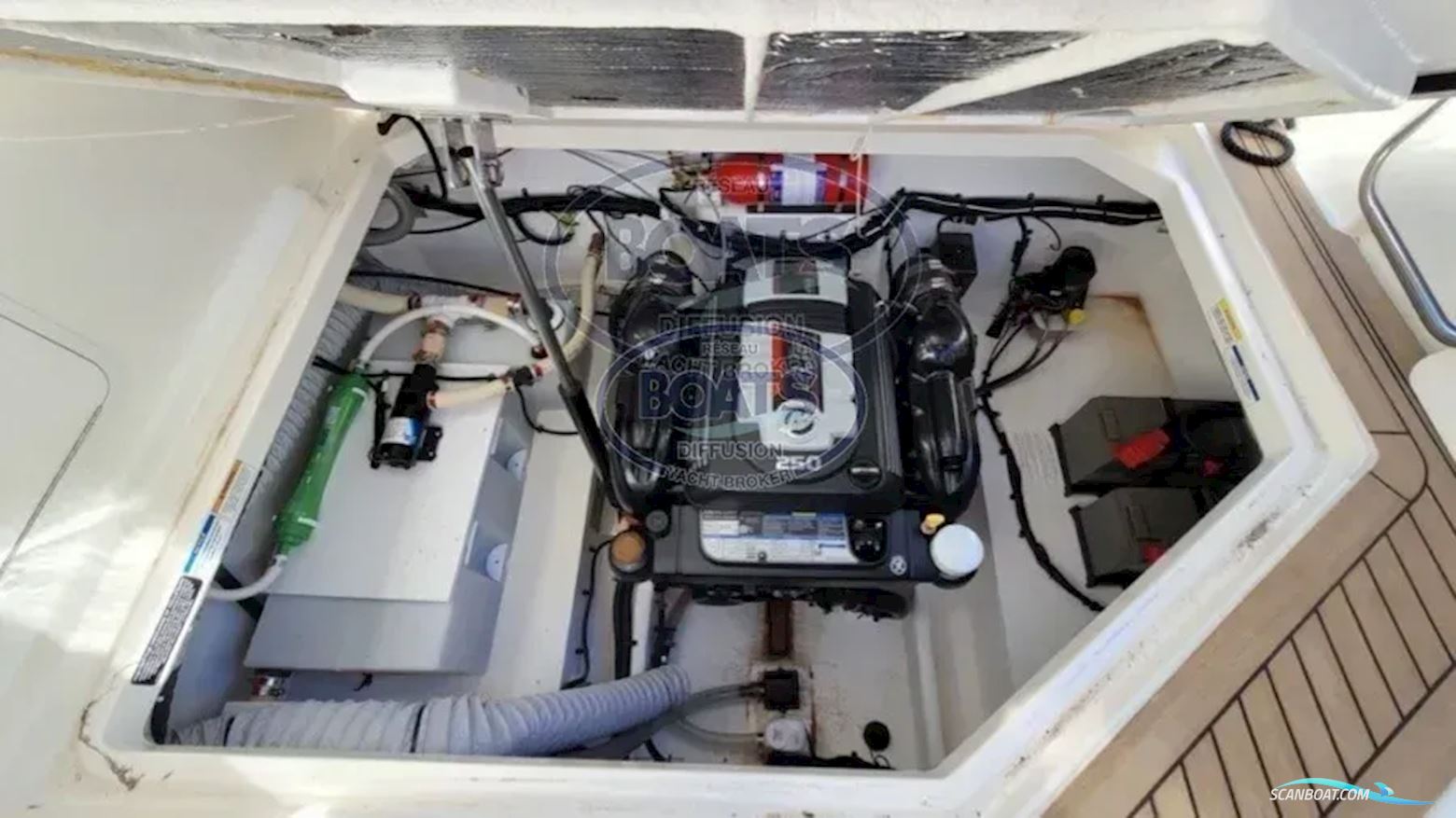 Bayliner Ciera 8