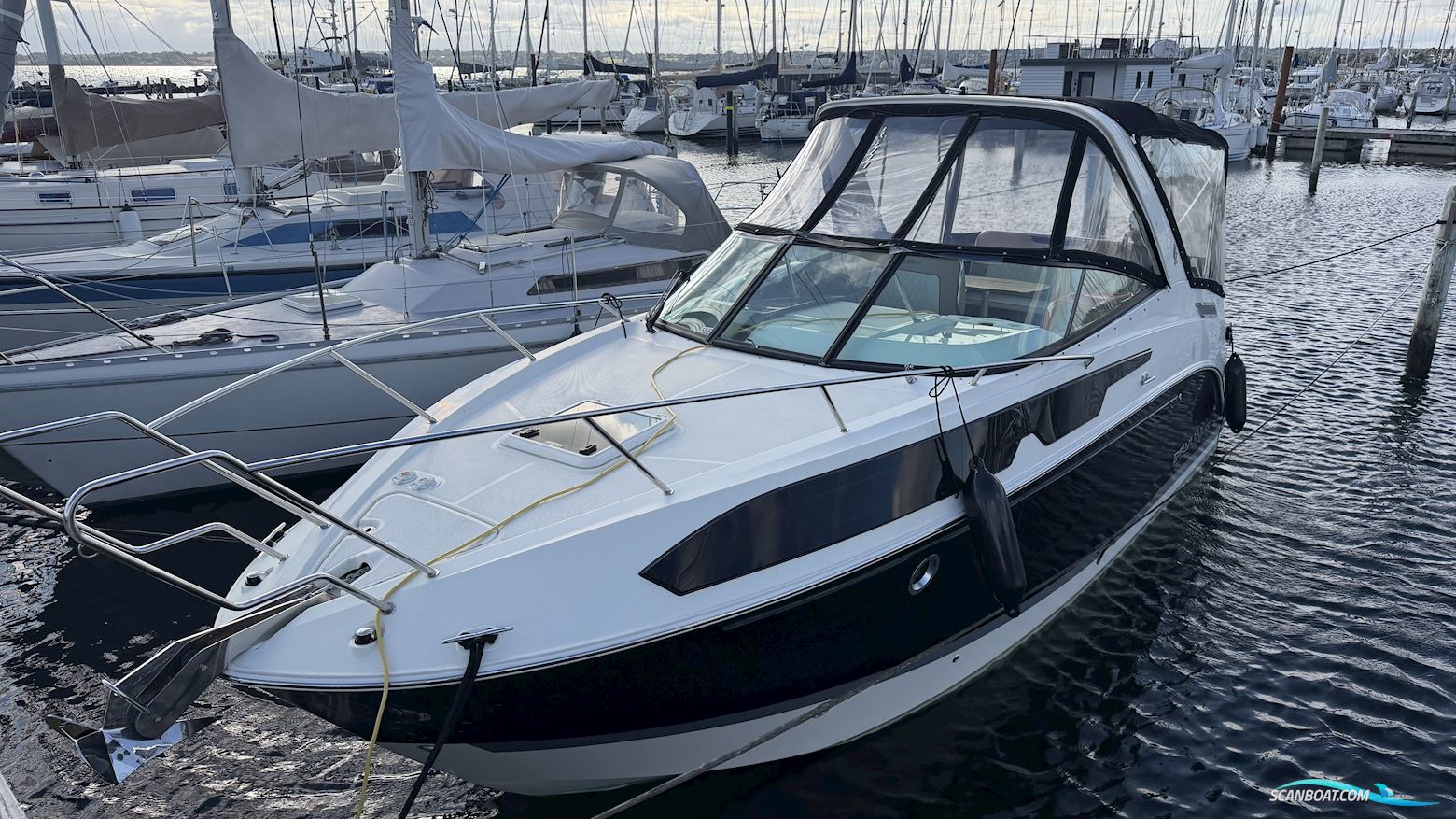 Bayliner Ciera 8