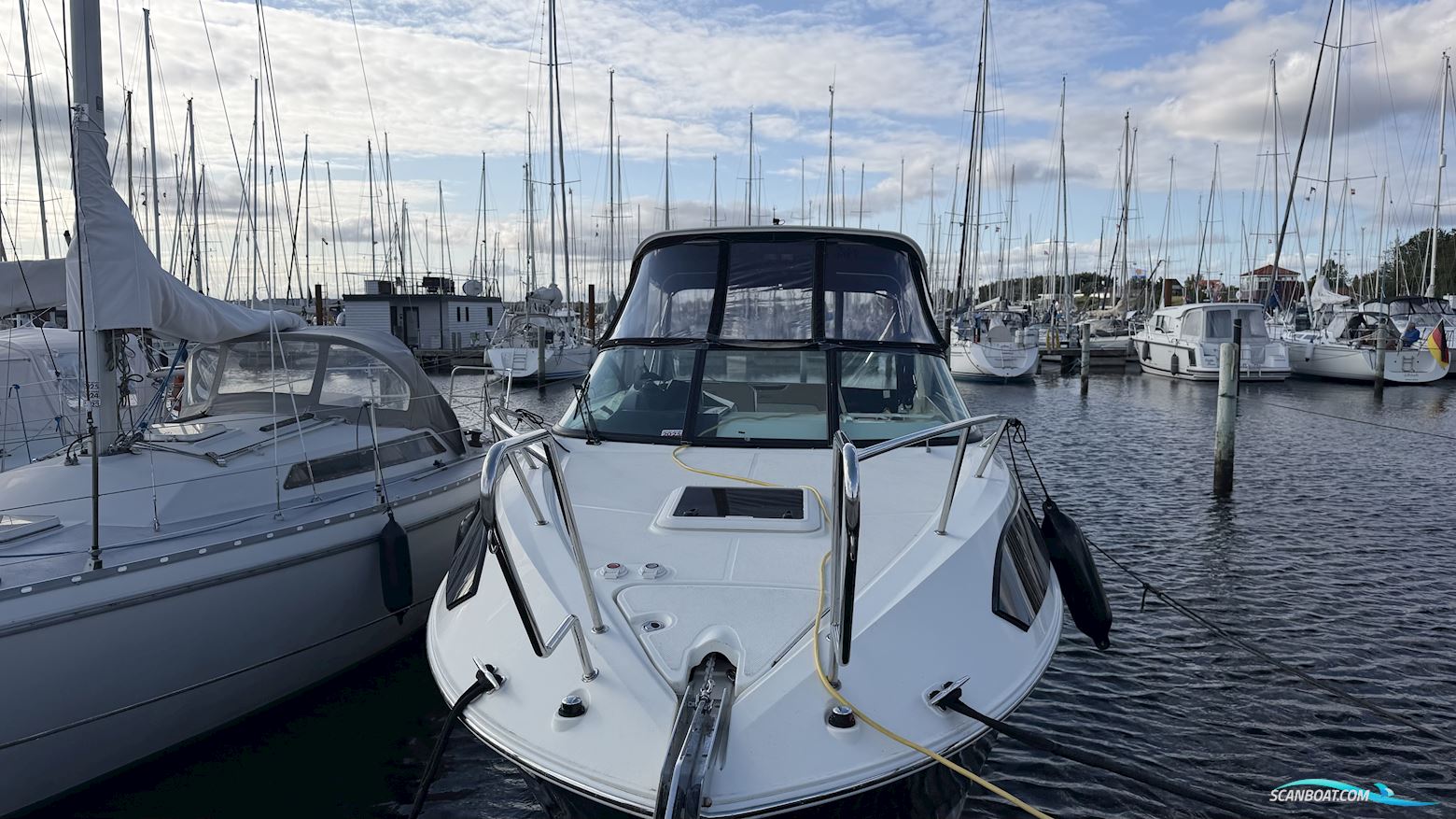 Bayliner Ciera 8