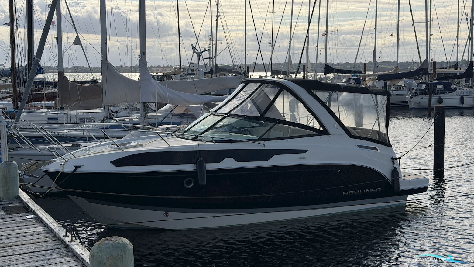 Bayliner Ciera 8