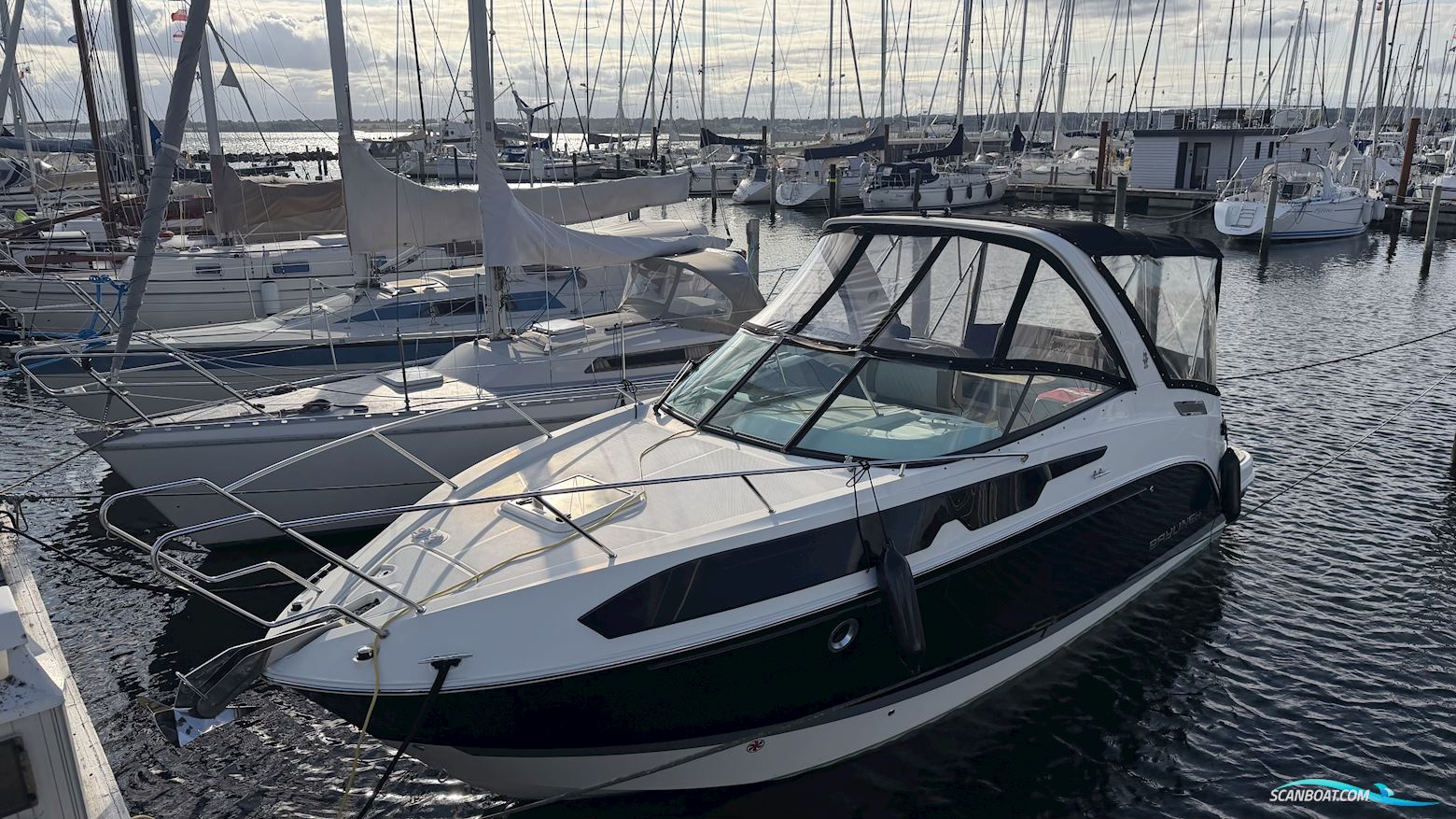 Bayliner Ciera 8