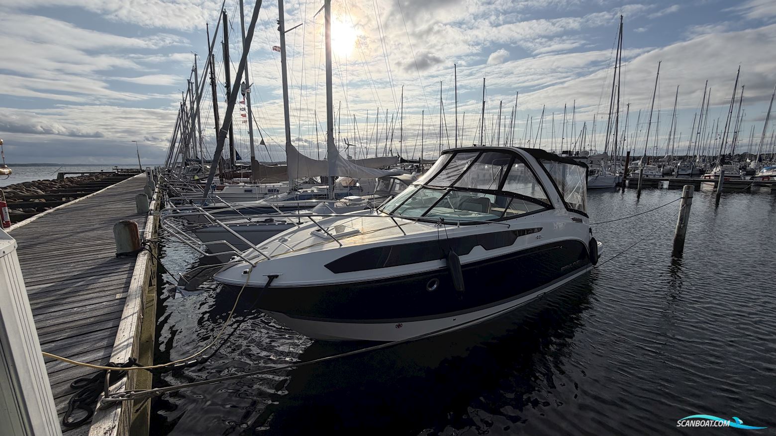 Bayliner Ciera 8