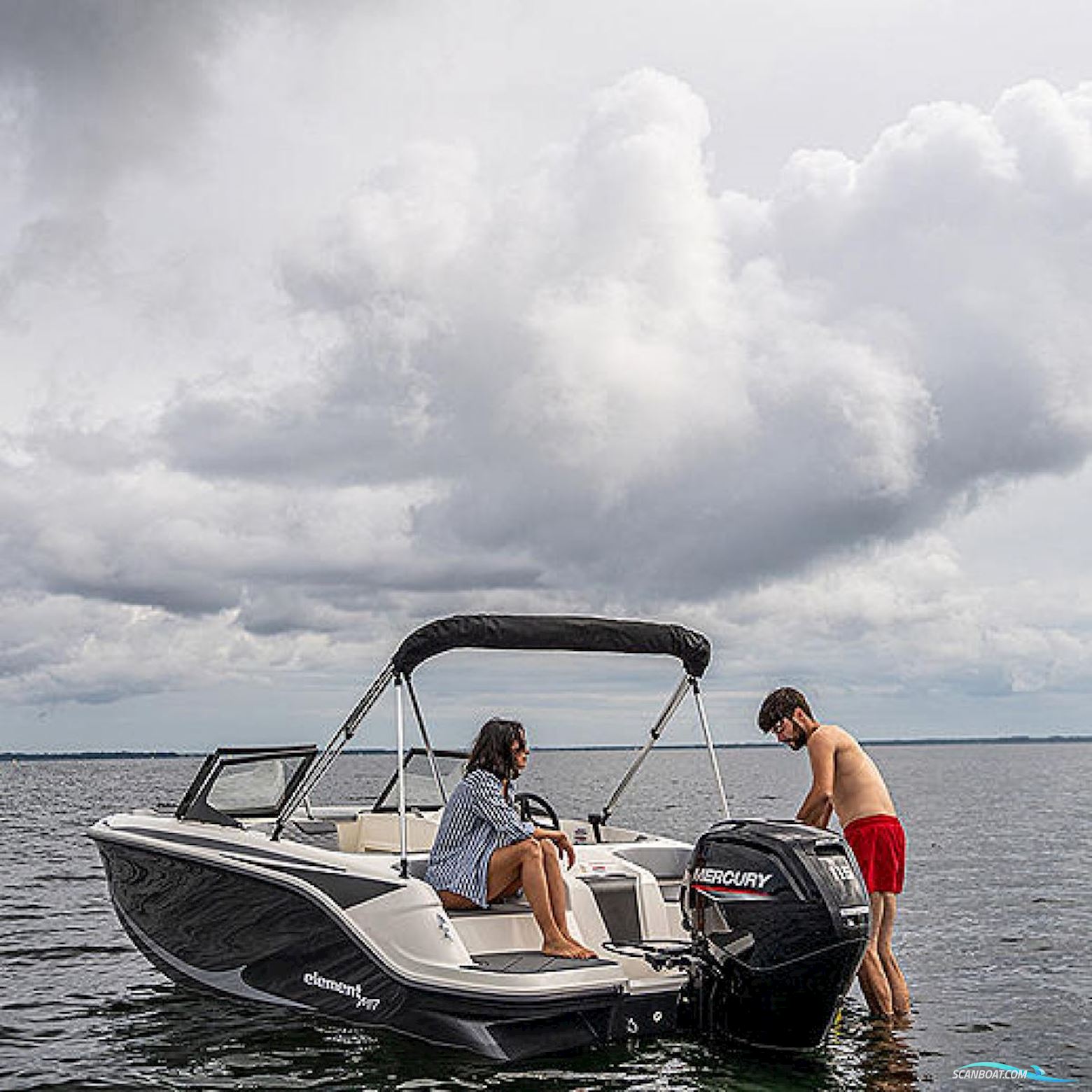 Bayliner M17