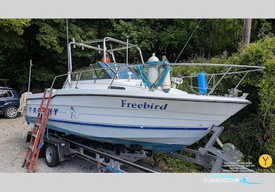 Bayliner Trophy Walkaround 2102 Motorboot 1993, mit Evinrude Etec motor, England