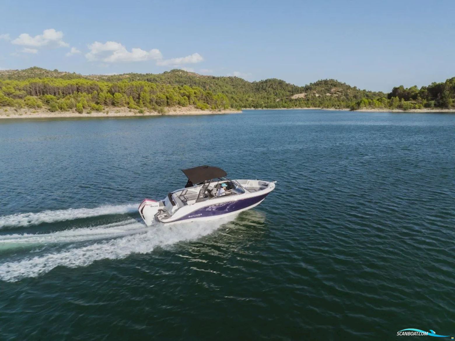 Bayliner V20
