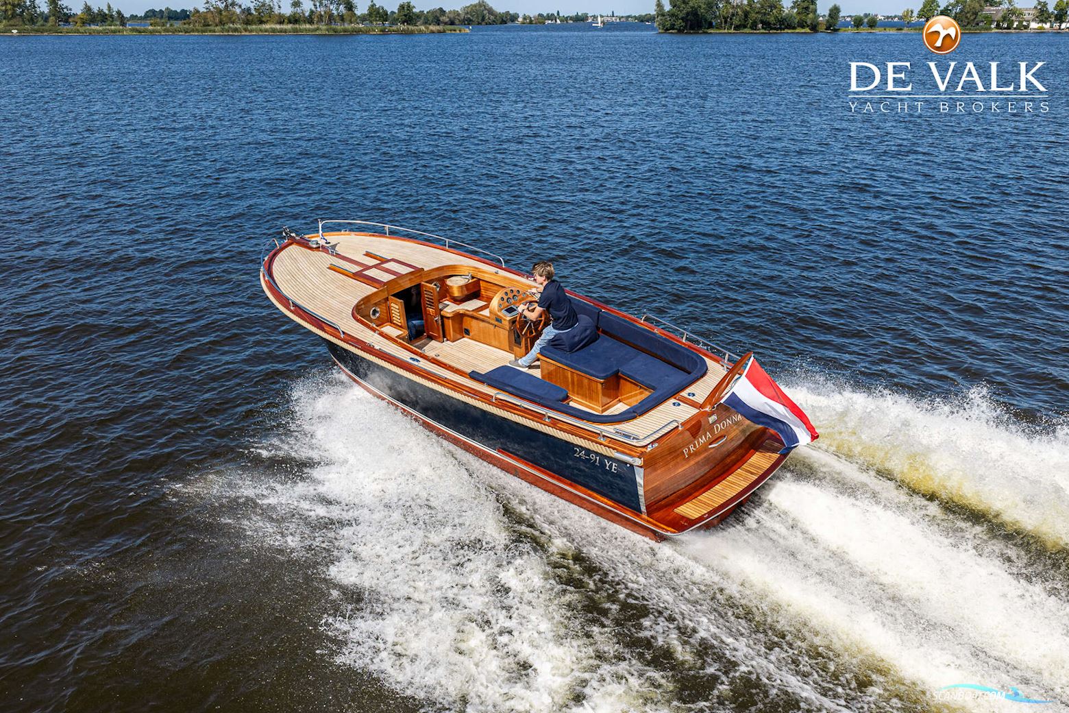 Beaver 28