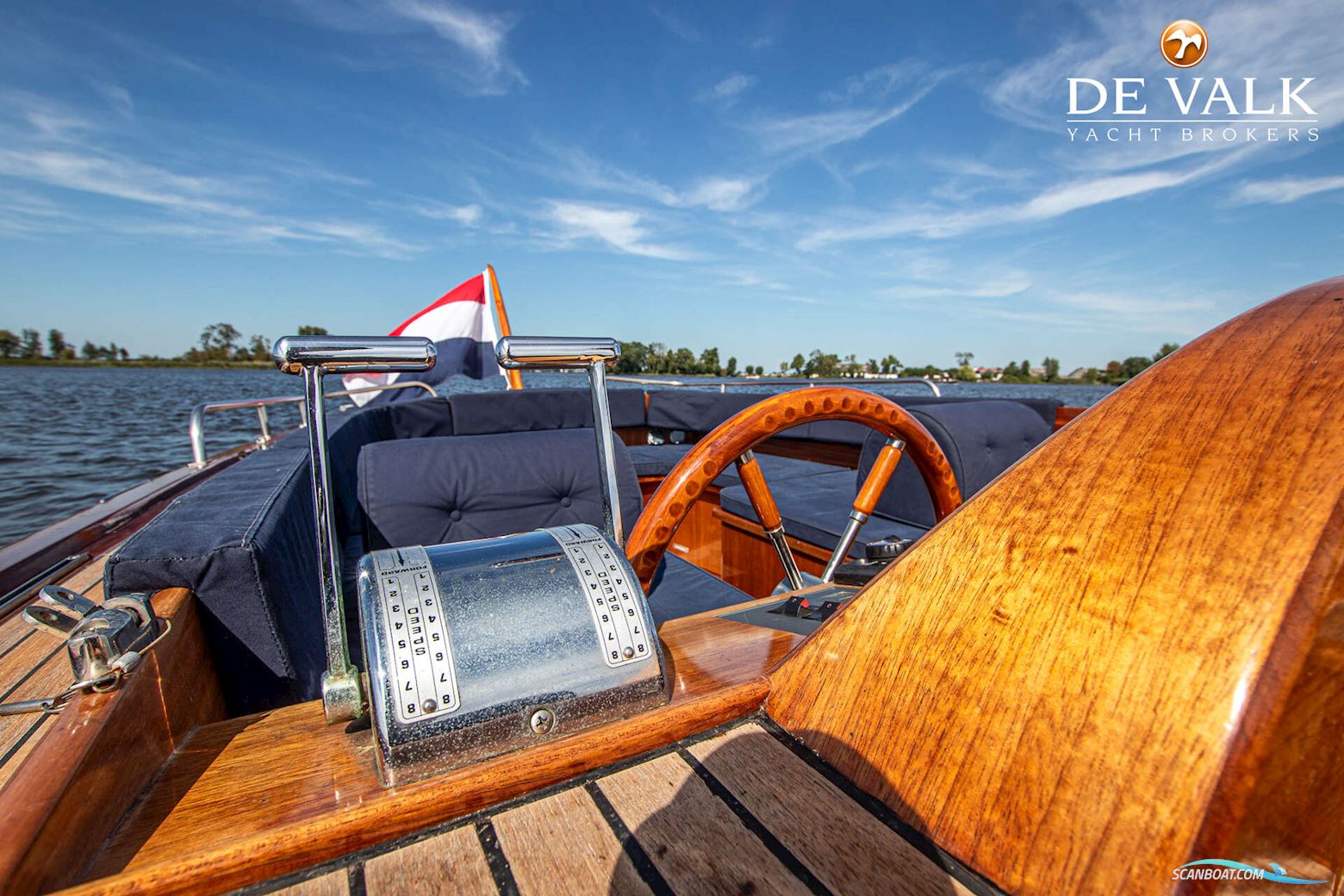 Beaver 28