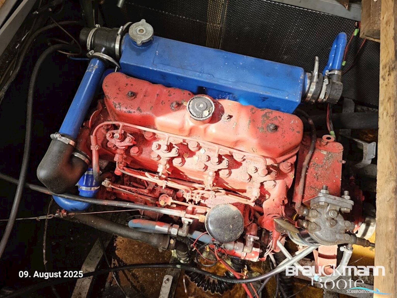 Behrens Werft Stahlspitzgatter 10.0