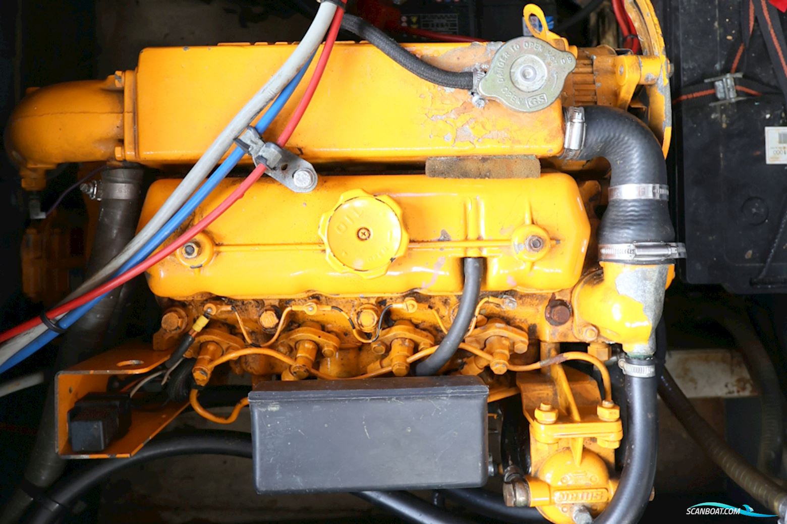 Bekebrede Noordkaper 28 OK