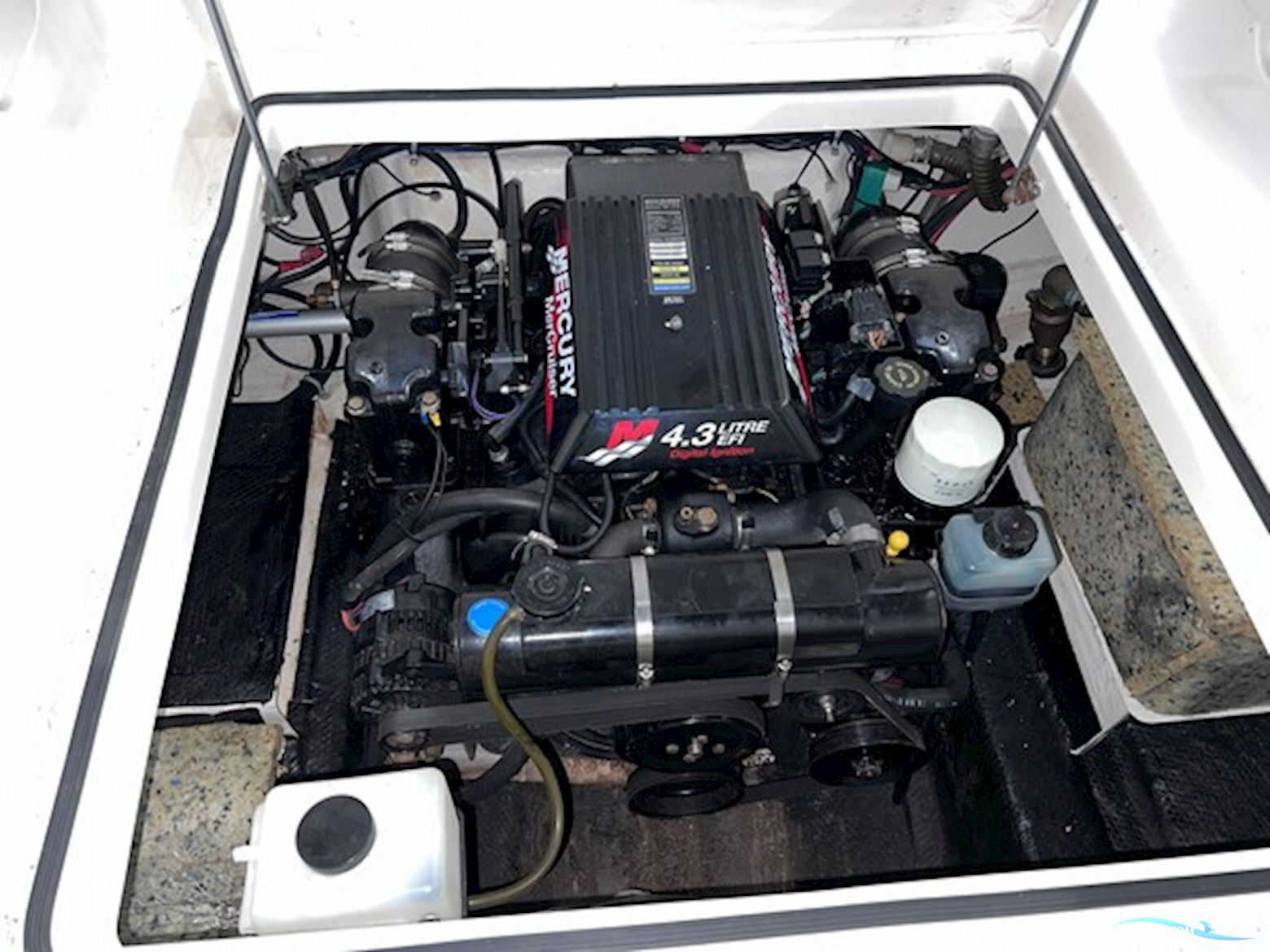 Bella 655, MerCruiser 4.3 V6 EFI