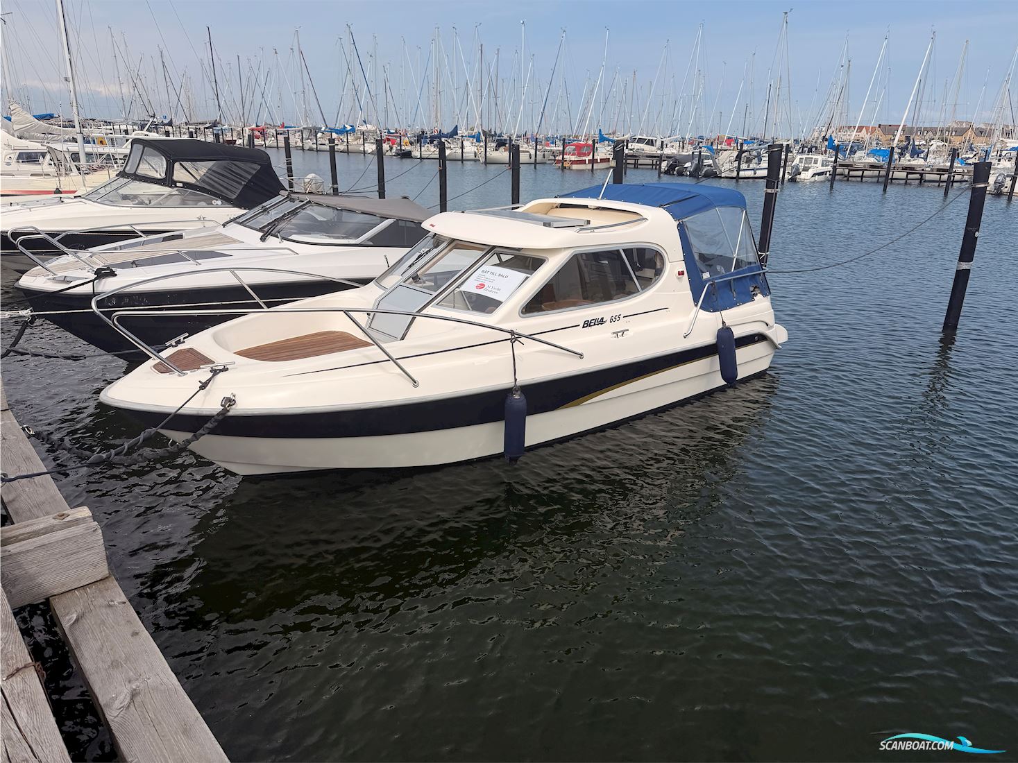 Bella 655