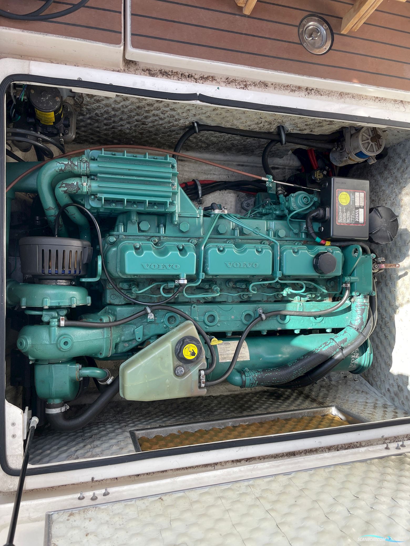 BELLA Falcon 26 Fantino