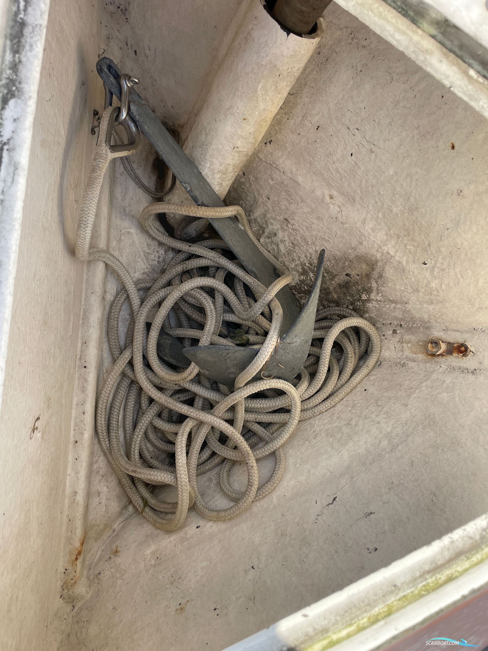 BELLA Falcon 26 Fantino