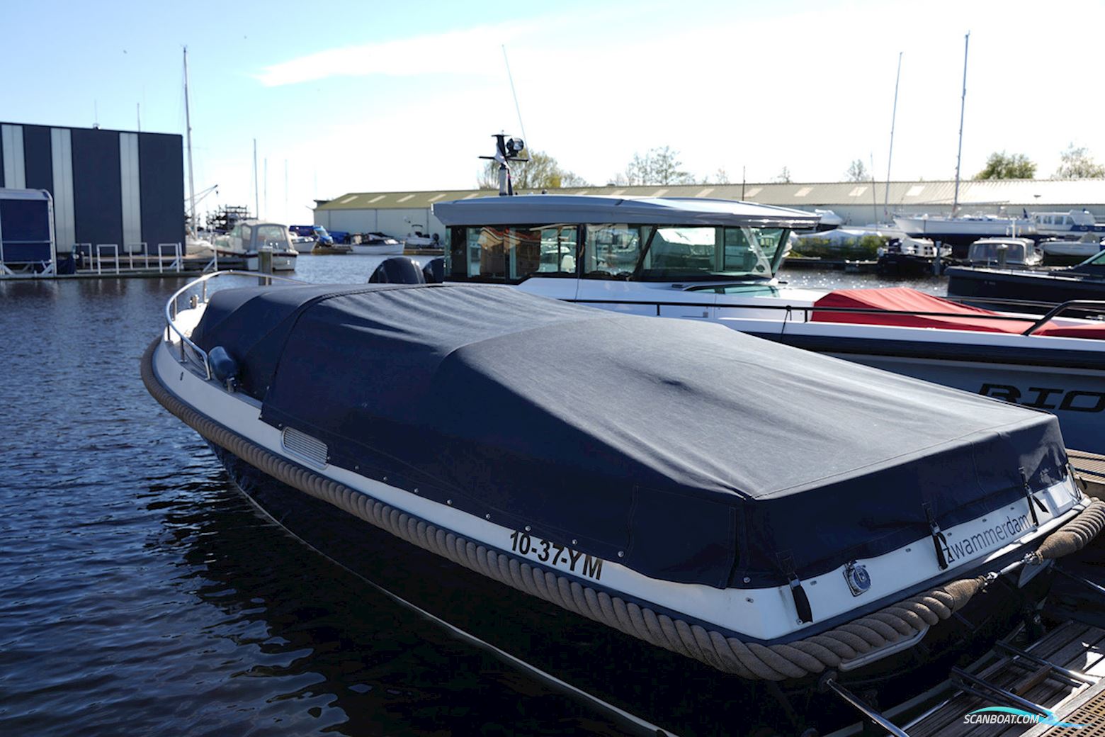 Bellus 750