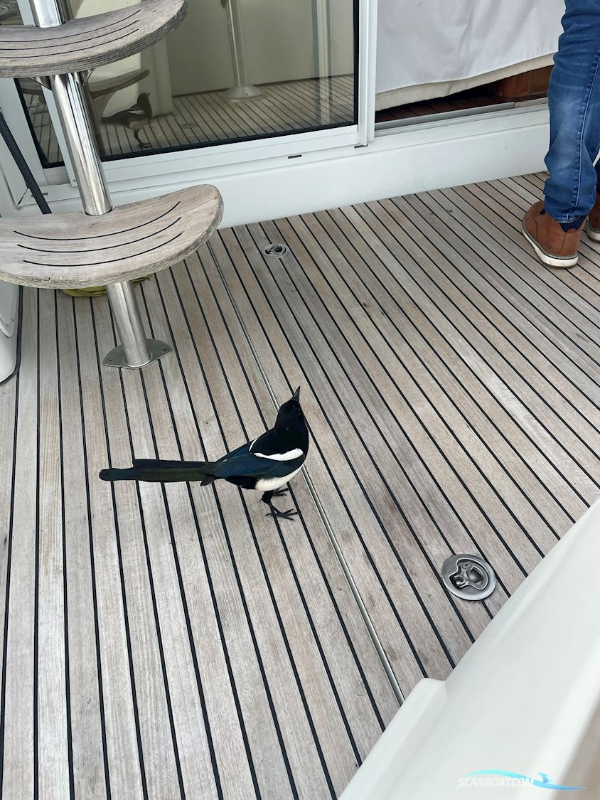 Beneteau Antares 9.80