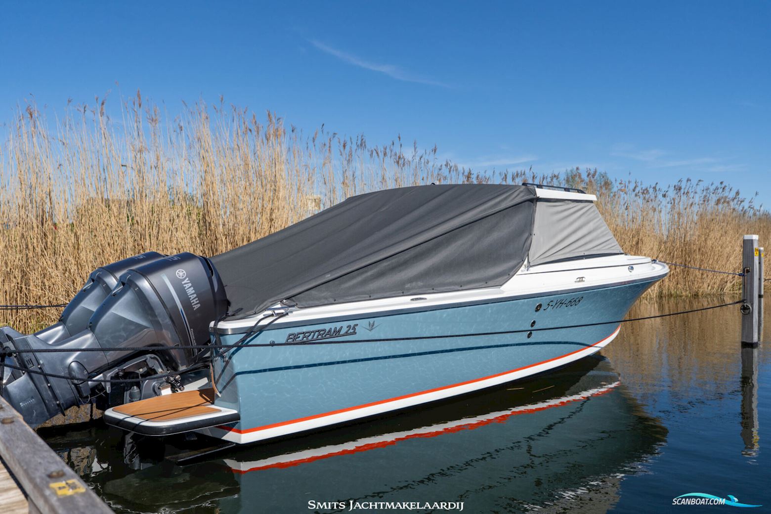 Bertram 25