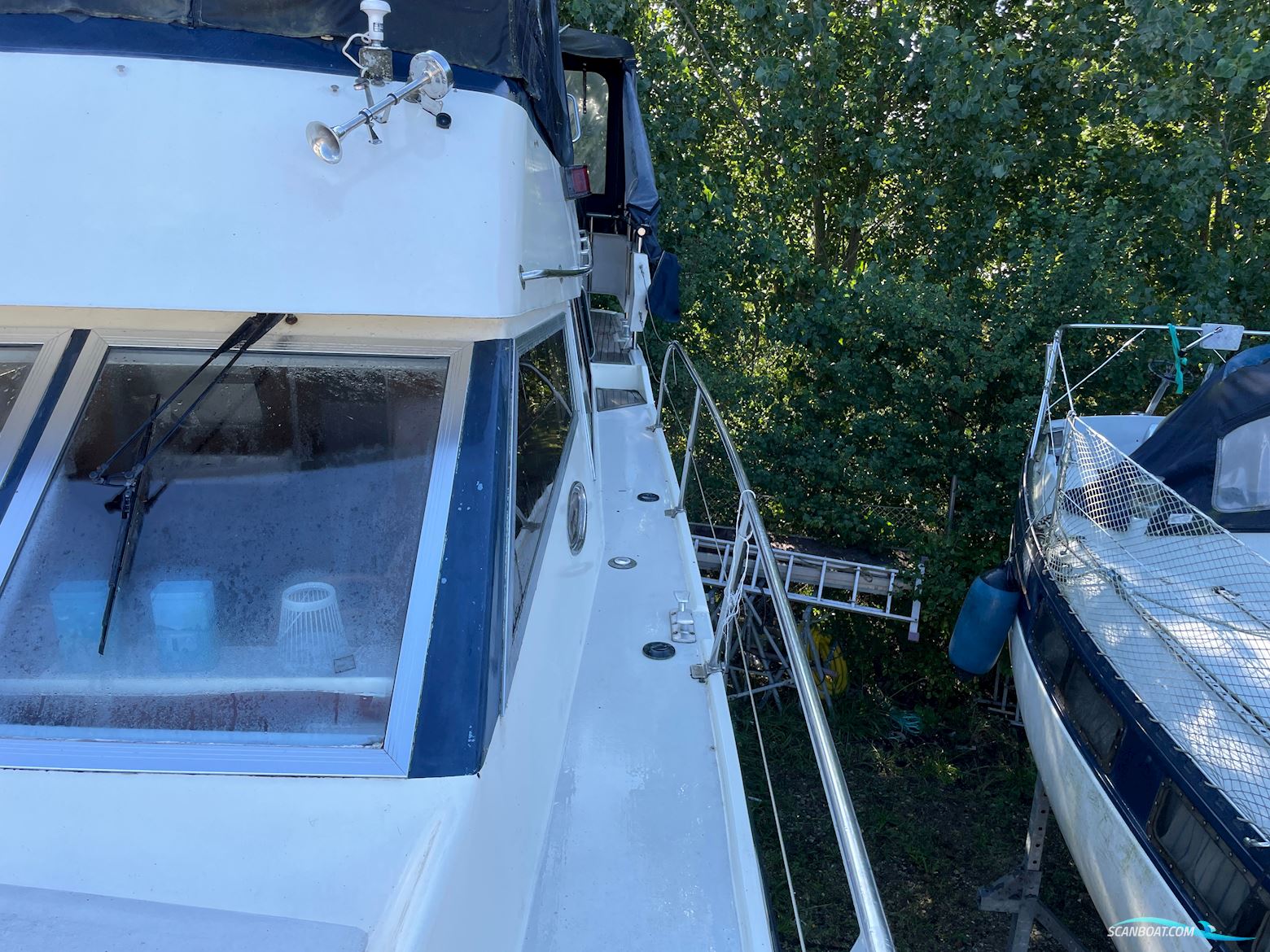 BIRCHWOOD 37 President